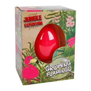 Jungle expediton ei met groeiende flamingo