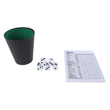 Play today dobbelspel met beker en 5 dobbelstenen