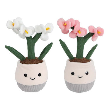 Take me home plant pluche orchidee l - 23cm