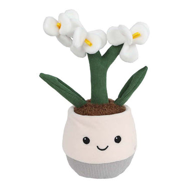 Take me home plant pluche orchidee l - 23cm
