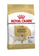 Royal canin Canin labrador retriever adult