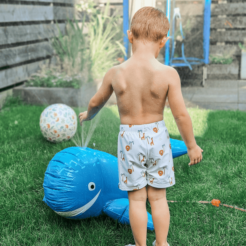 Load image into Gallery viewer, Dreamscape | blauwe walvis watersproeier
