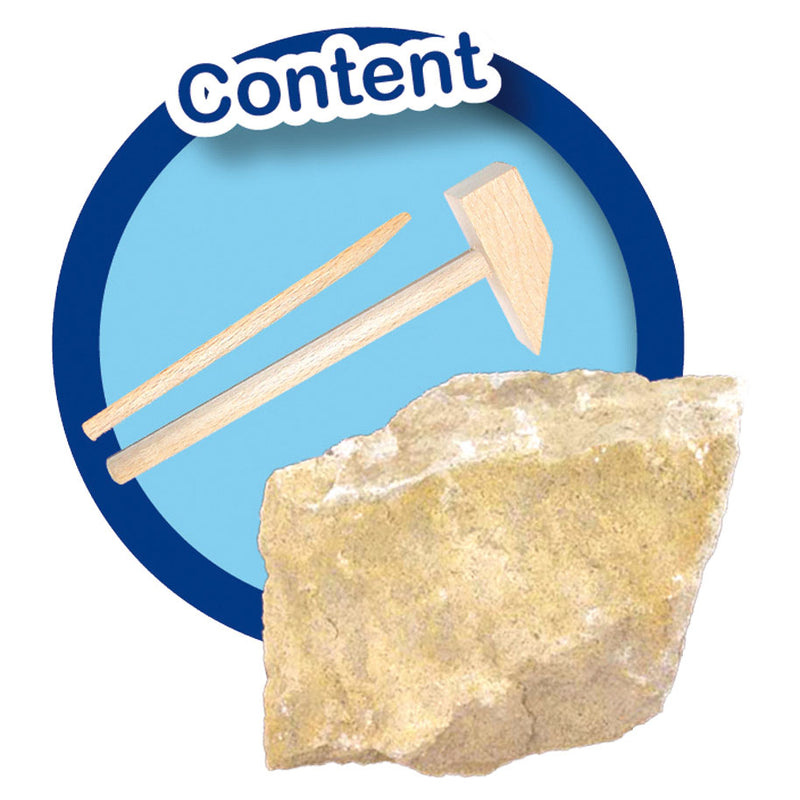 Load image into Gallery viewer, SES T-Rex Opgraven
