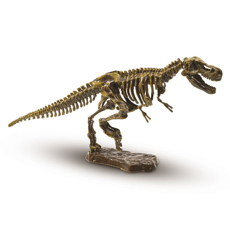 Load image into Gallery viewer, SES T-Rex Opgraven

