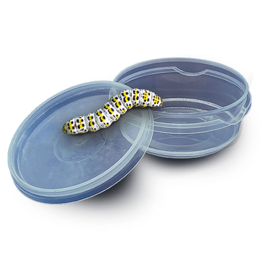 Ses creative ses explore - insecten explorer