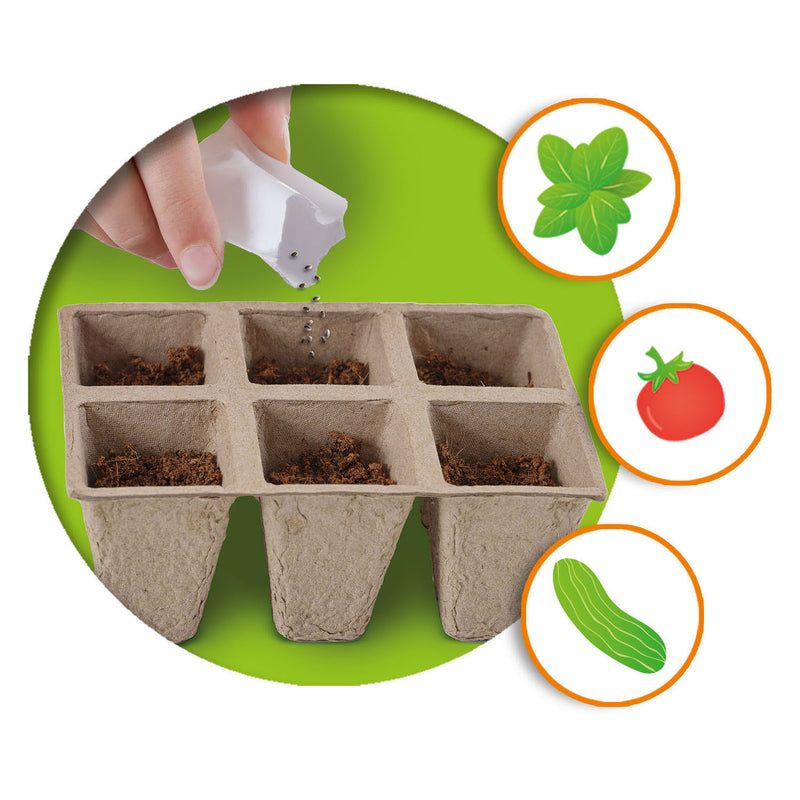 Afbeelding laden in galerijviewer, Ses creative - explore - broeikas met groenten - kweek je eigen tomaat, basilicum en komkommer - echt houten broeikas – experimenteerdozen – mini moestuin voor kinderen
