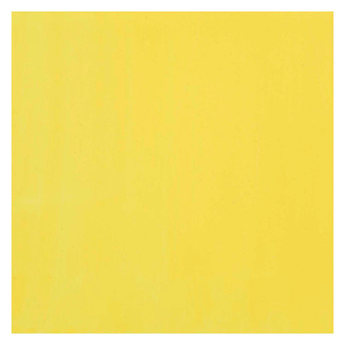 Bruynzeel ecola plakkaatverf fles 16ml citroengeel (primair) 205