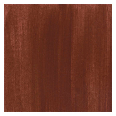 Bruynzeel ecola plakkaatverf fles 16ml brown 400
