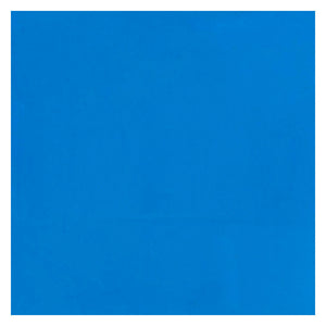 Bruynzeel ecola plakkaatverf fles 16ml lichtblauw 501