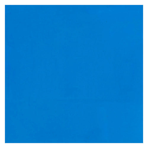 Bruynzeel ecola plakkaatverf fles 16ml lichtblauw 501