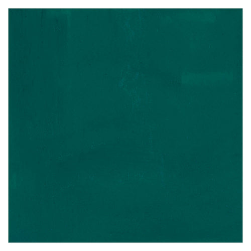 Bruynzeel ecola plakkaatverf fles 16ml donkergroen 602