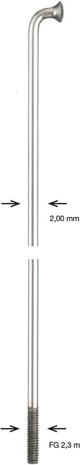 Alpina spaak spoke zinc 2x232 mm