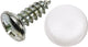 Dresselhaus nummerbordchroef no.-plate tapping screws 4,8x16 100pcs.