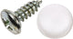 Dresselhaus nummerbordchroef no.-plate tapping screws 4.8 x 22 mm