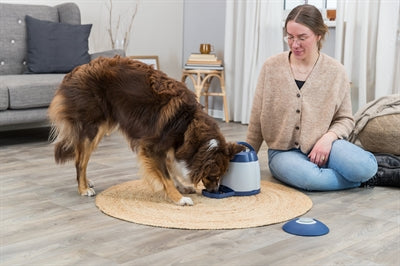 Load image into Gallery viewer, Trixie Dog activity memory trainer 3.0
