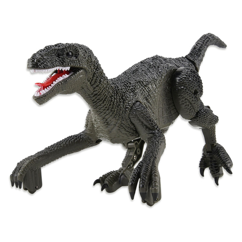 Afbeelding laden in galerijviewer, Gear2play rc 2,4ghz bedienbare dino raptor robot
