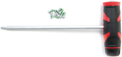 Quarq zespunt ster-profiel sleutel tool torx t20 200 mm incl. screws