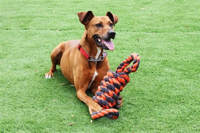 Happy pet nuts for knots extreme spoel 8 vorm tugger grijs oranje