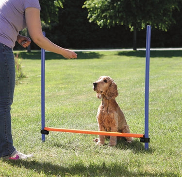Trixie dog activity agility horde blauw oranje