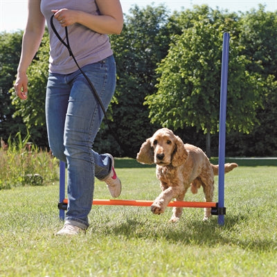 Load image into Gallery viewer, Trixie dog activity agility horde blauw oranje
