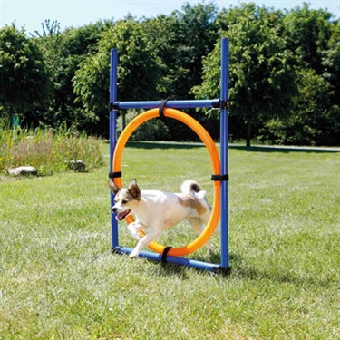 Trixie dog activity agility ring blauw oranje