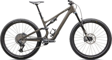 Specialized stumpjumper 15 expert carbon mountain bike