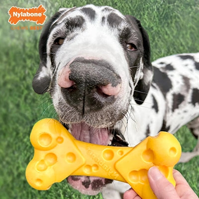 Load image into Gallery viewer, Nylabone dura chew cheese bone
