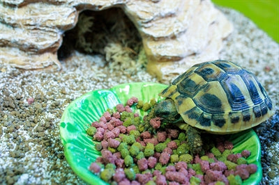 Load image into Gallery viewer, Happy pet voerbak green leaf groen
