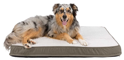 Trixie vitaal orthopedisch kussen taupe lichtgrijs
