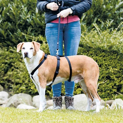 Trixie hondentuig stay zwart