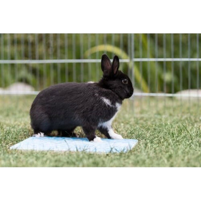 Load image into Gallery viewer, Trixie koelplaat voor kleine dieren blauw
