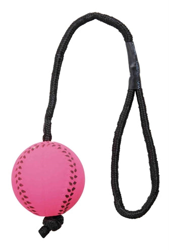 Load image into Gallery viewer, Trixie sportbal aan touw schuimrubber drijvend assorti
