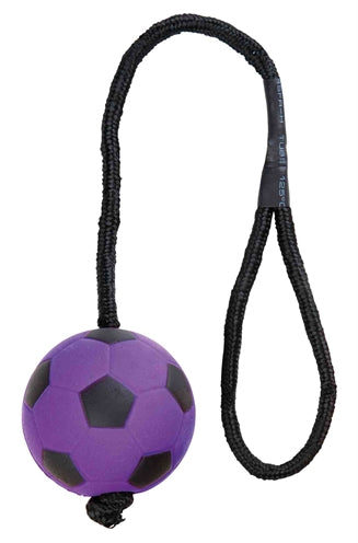 Load image into Gallery viewer, Trixie sportbal aan touw schuimrubber drijvend assorti
