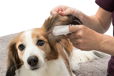 Load image into Gallery viewer, Trixie Ear care vingerpads

