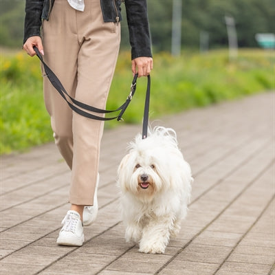 Load image into Gallery viewer, Trixie hondenriem premium dubbelgestikt verstelbaar zwart
