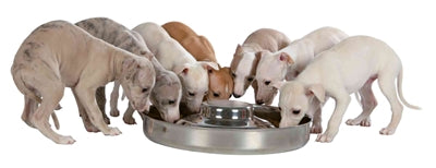 Load image into Gallery viewer, Trixie junior puppyvoerbak rvs
