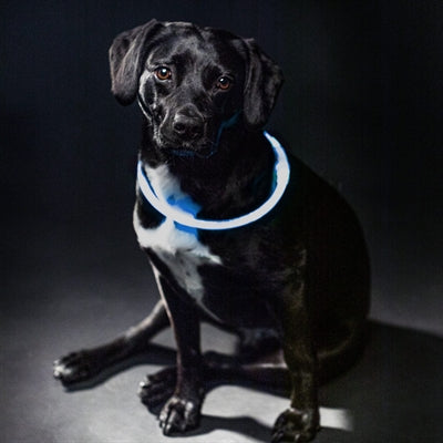 Afbeelding laden in galerijviewer, Merkloos sans marque trixie lichtgevende halsband usb flash light oplaadbaar tpu blauw
