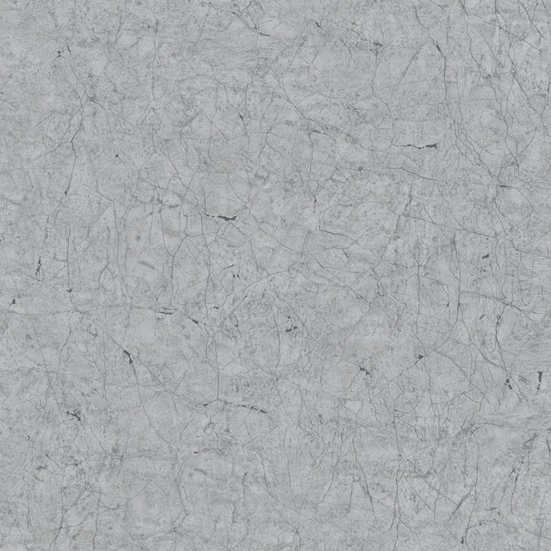 Load image into Gallery viewer, Noordwand Noordwand Behang Vintage Deluxe Stucco Crackle metallic grijs
