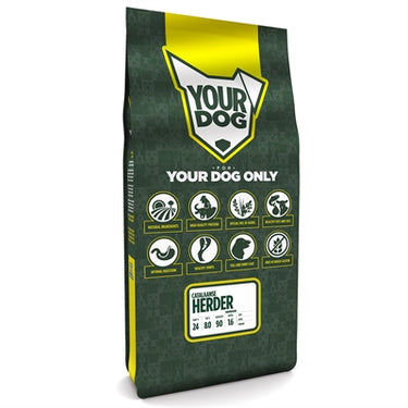 Yourdog Catalaanse herder senior