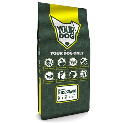 Yourdog Duitse staande draadhaar pup