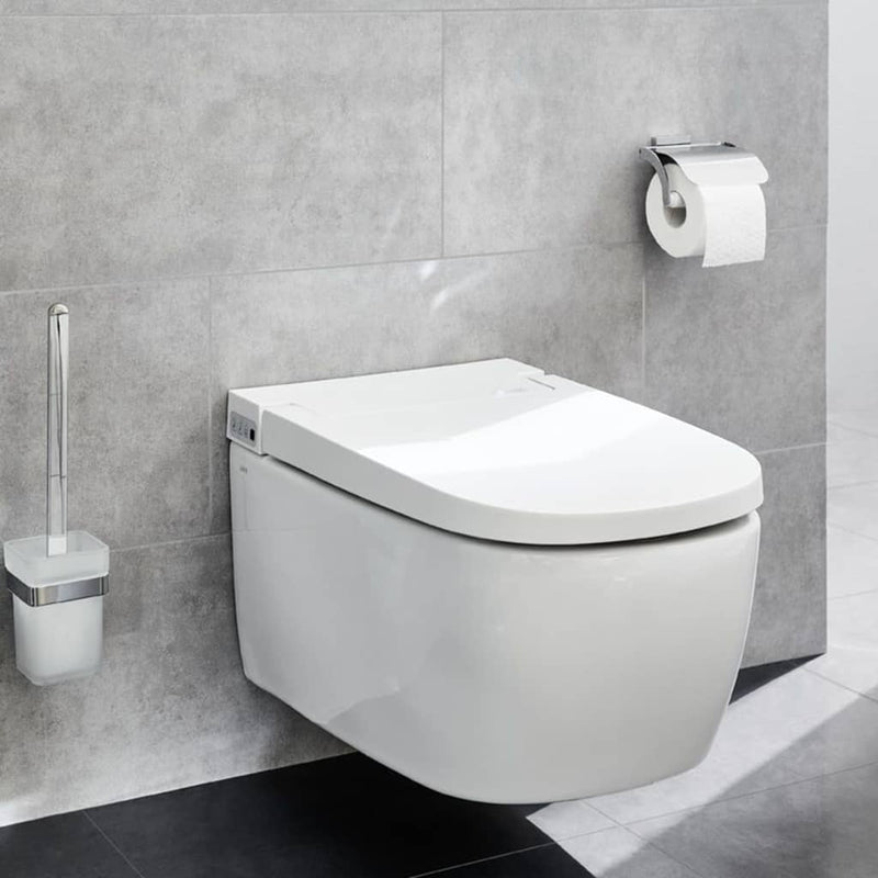 Load image into Gallery viewer, Kleine wolke toiletrolhouder met deksel meo zilverkleurig
