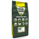 Yourdog Istarski kratkodlaki gonic pup