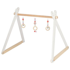 Babygym atlantische papegaaiduiker
