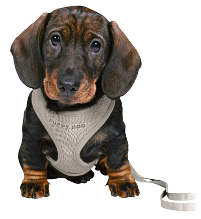 Load image into Gallery viewer, Trixie junior puppytuig soft met riem lichtgrijs
