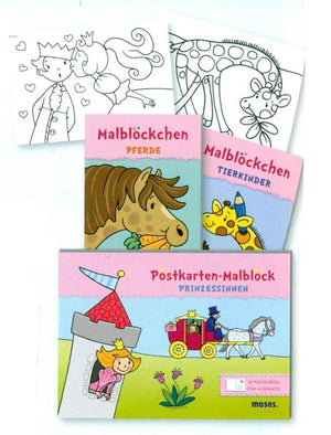 Dsp kleurblok voor meisjes, 2 ass (24 st