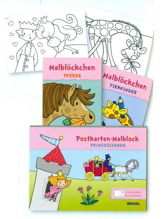 Dsp kleurblok voor meisjes, 2 ass (24 st