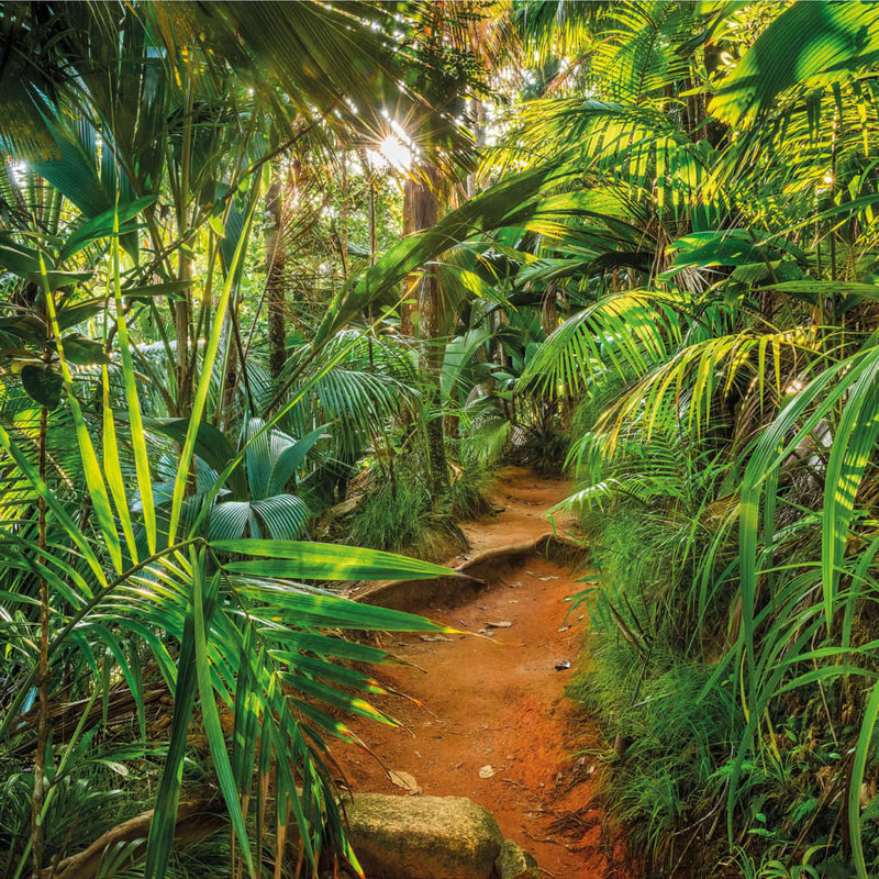 Load image into Gallery viewer, Komar fotobehang jungle trail 368x254 cm
