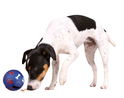 Load image into Gallery viewer, Trixie snackbal kunststof assorti
