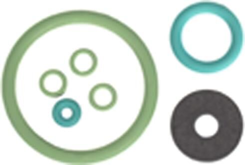 Ad drukpompverstuiver ct 02 seal kit viton fkm f. brakesprueher
