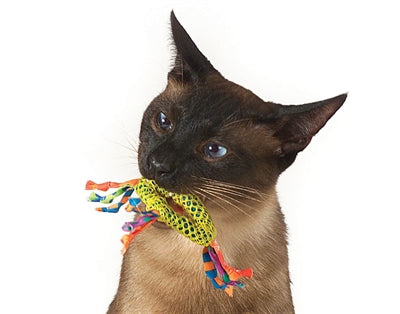 Load image into Gallery viewer, Catstages catnip dental health chew
